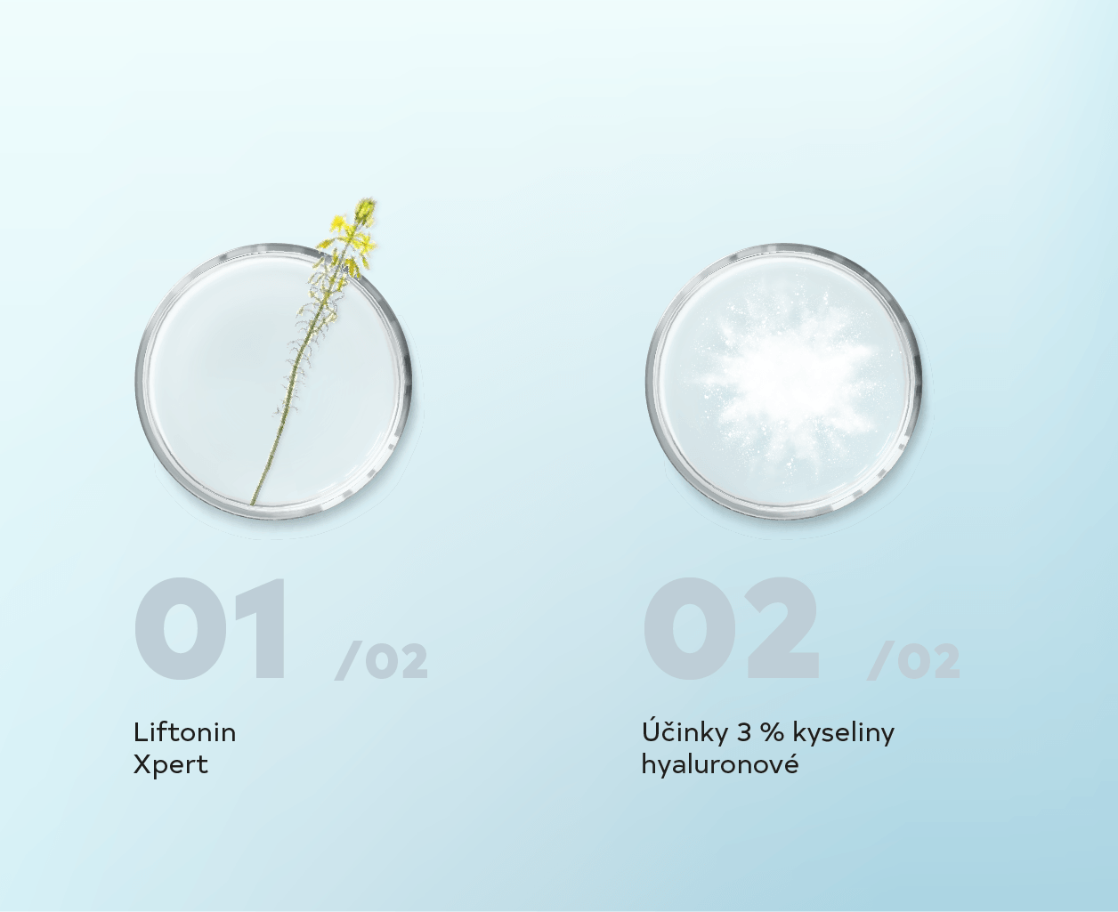 HYALURON_ANTI-AGING